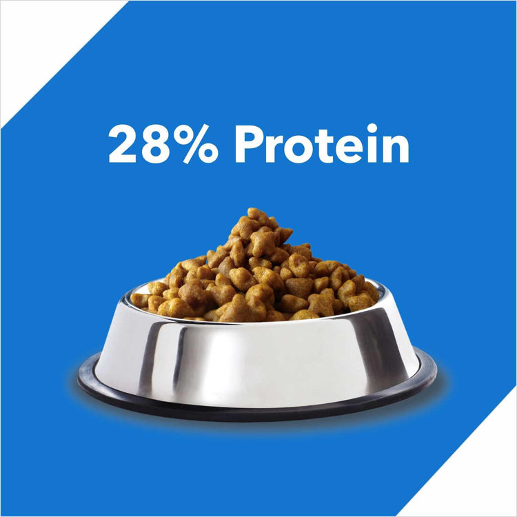Drools Adult Dry Cat Food Ocean Fish , 7kg Pack