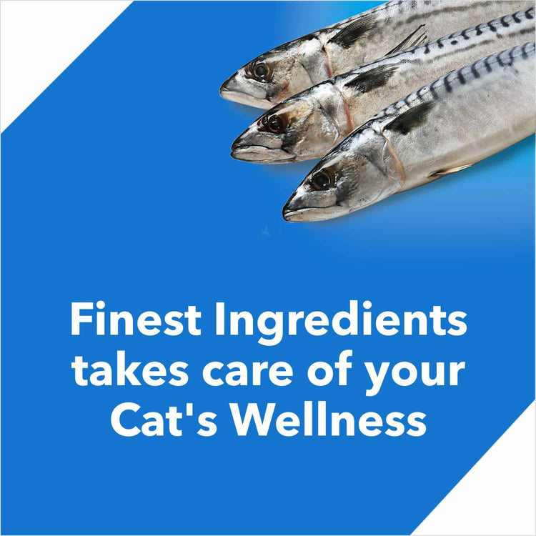 Drools Adult Dry Cat Food Ocean Fish , 7kg Pack
