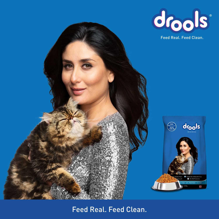 Drools Adult Dry Cat Food Ocean Fish , 7kg Pack