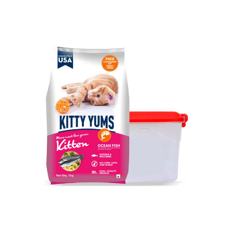 Kitty Yums Kitten (1-12 Months) Dry Cat Food Ocean Fish Flavour 1kg Pack with Free Container Pack