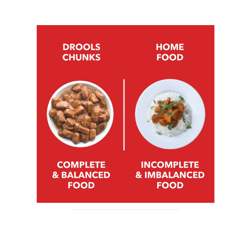 Drools Adult Wet Dog Food, Real Chicken and Chicken Liver Chunks in Gravy,10 Pouches + 2 Pouches Free (12 x 60g)