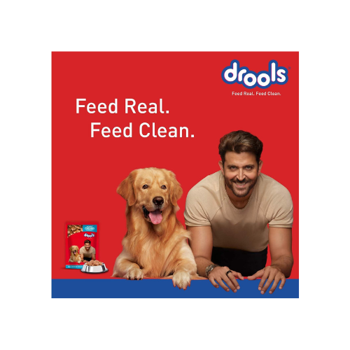 Drools Adult Wet Dog Food, Real Chicken and Chicken Liver Chunks in Gravy,10 Pouches + 2 Pouches Free (12 x 60g)