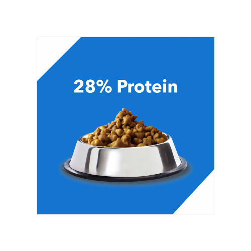 Drools Dry Cat Adult Food Ocean Fish 1.2kg