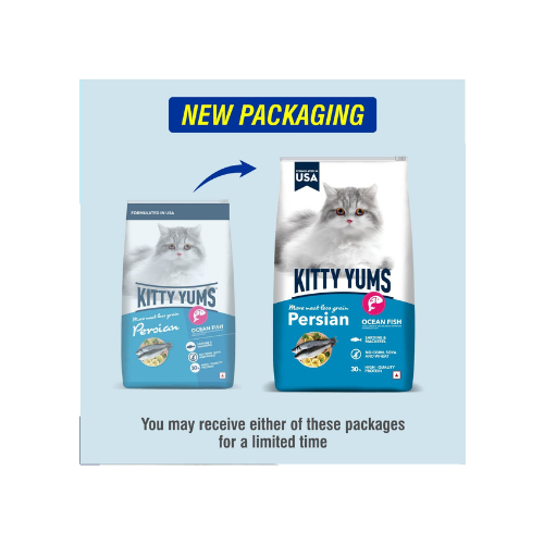 Kitty Yums Persian Adult Dry Cat Food, Ocean Fish, 1.2kg Pack