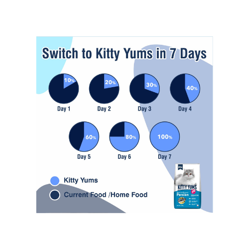 Kitty Yums Persian Adult Dry Cat Food, Ocean Fish, 1.2kg Pack