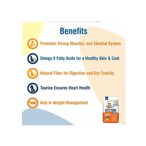 Kitty Yums Adult (+1 Year) Dry Cat Food, Ocean Fish, 1.2kg Pack