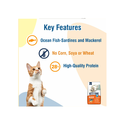 Kitty Yums Adult (+1 Year) Dry Cat Food, Ocean Fish, 1.2kg Pack
