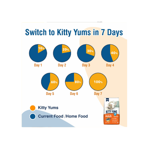 Kitty Yums Adult (+1 Year) Dry Cat Food, Ocean Fish, 1.2kg Pack