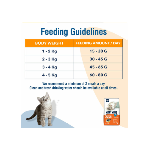 Kitty Yums Adult (+1 Year) Dry Cat Food, Ocean Fish, 1.2kg Pack