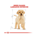 Royal Canin Labrador Retriever Puppy Dry Dog Food 3 Kg Flavour : Meat