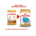 Royal Canin Labrador Retriever Puppy Dry Dog Food 3 Kg Flavour : Meat