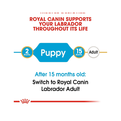 Royal Canin Labrador Retriever Puppy Dry Dog Food 3 Kg Flavour : Meat