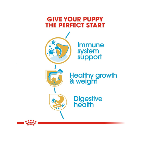 Royal Canin Labrador Retriever Puppy Dry Dog Food 3 Kg Flavour : Meat