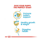 Royal Canin Labrador Retriever Puppy Dry Dog Food 3 Kg Flavour : Meat