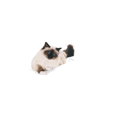 Royal Canin Hairball Care Cat Adult, Dry Food, 2 Kg