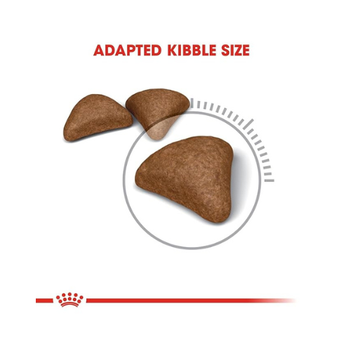 Royal Canin Hairball Care Cat Adult, Dry Food, 2 Kg