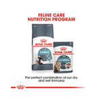 Royal Canin Hairball Care Cat Adult, Dry Food, 2 Kg