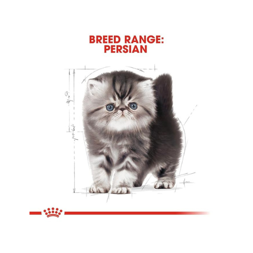 Royal Canin Persian Kitten 1 KG MRP 1300, Granule