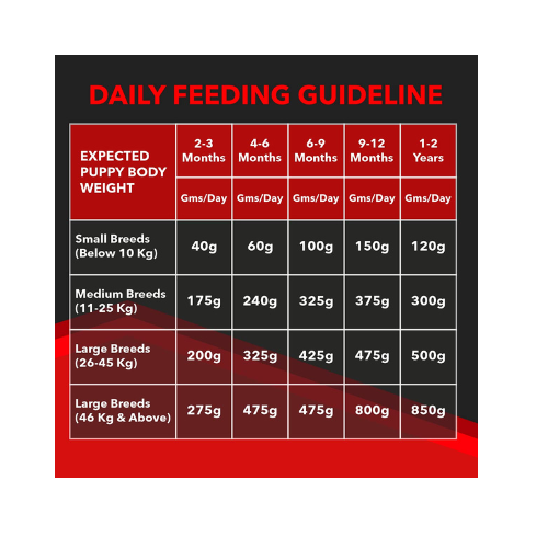 Drools Focus Puppy Super Premium Dry Dog Food, Chicken Flavour, 1.2 KG