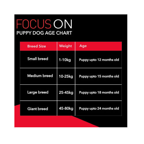 Drools Focus Puppy Super Premium Dry Dog Food, Chicken Flavour, 1.2 KG