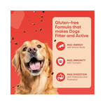 PetMax Adult Chicken & Rice Dry Dog Food (2.8Kg)