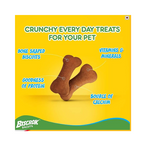 Pedigree Adult Dry Dog Food, Chicken & Vegetables, 20kg Pack & Pedigree Biscrok Biscuits Dog Treat (Above 4 Months) Chicken Flavour, 500g Pack