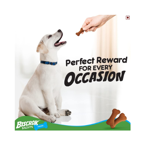 Pedigree Biscrok Biscuits (Above 4 Months) Dog Treats, Chicken Flavour, 500 g, Source of Calcium, Goodness of 15% Protein