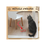 Cat Toys Rolling Ball Dog Ball，Self Rolling Dog Ball Interactive Cat Toys Automatic Cat Toy Self Moving Dog Toys, 360° Smart Automatic Rolling Ball Toy Electric Dog Balls for Cat (Red)